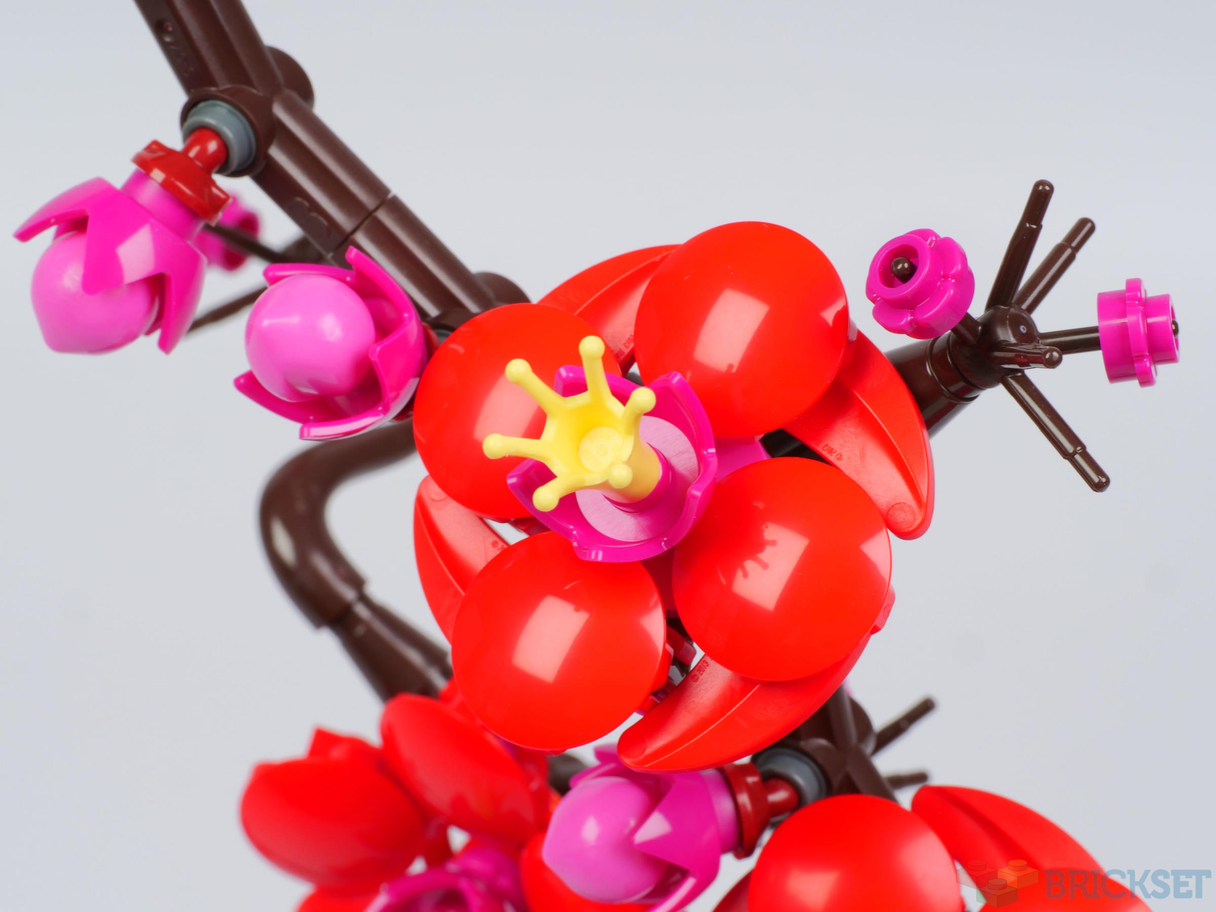 Lego Plum Blossom Review Brickset