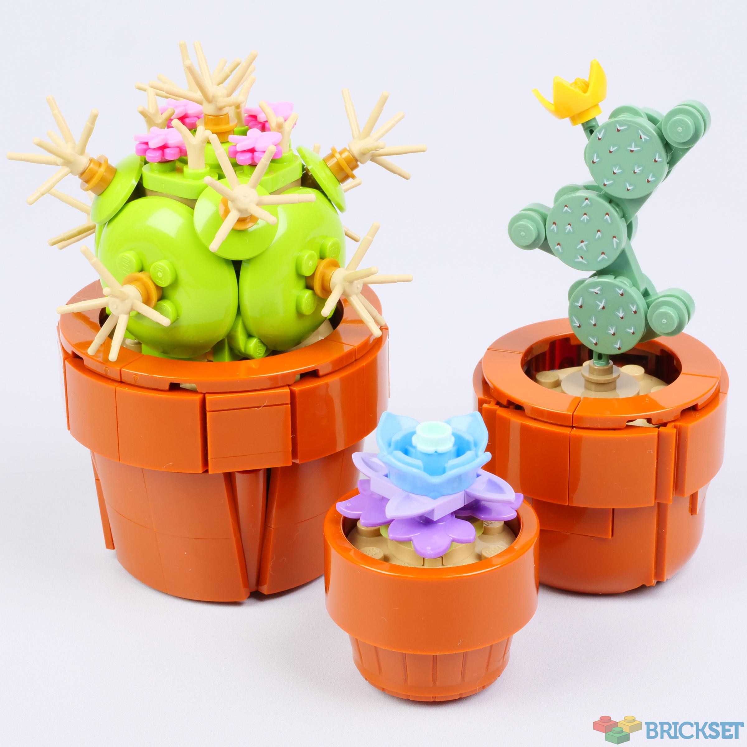 LEGO 10329 Tiny Plants review | Brickset