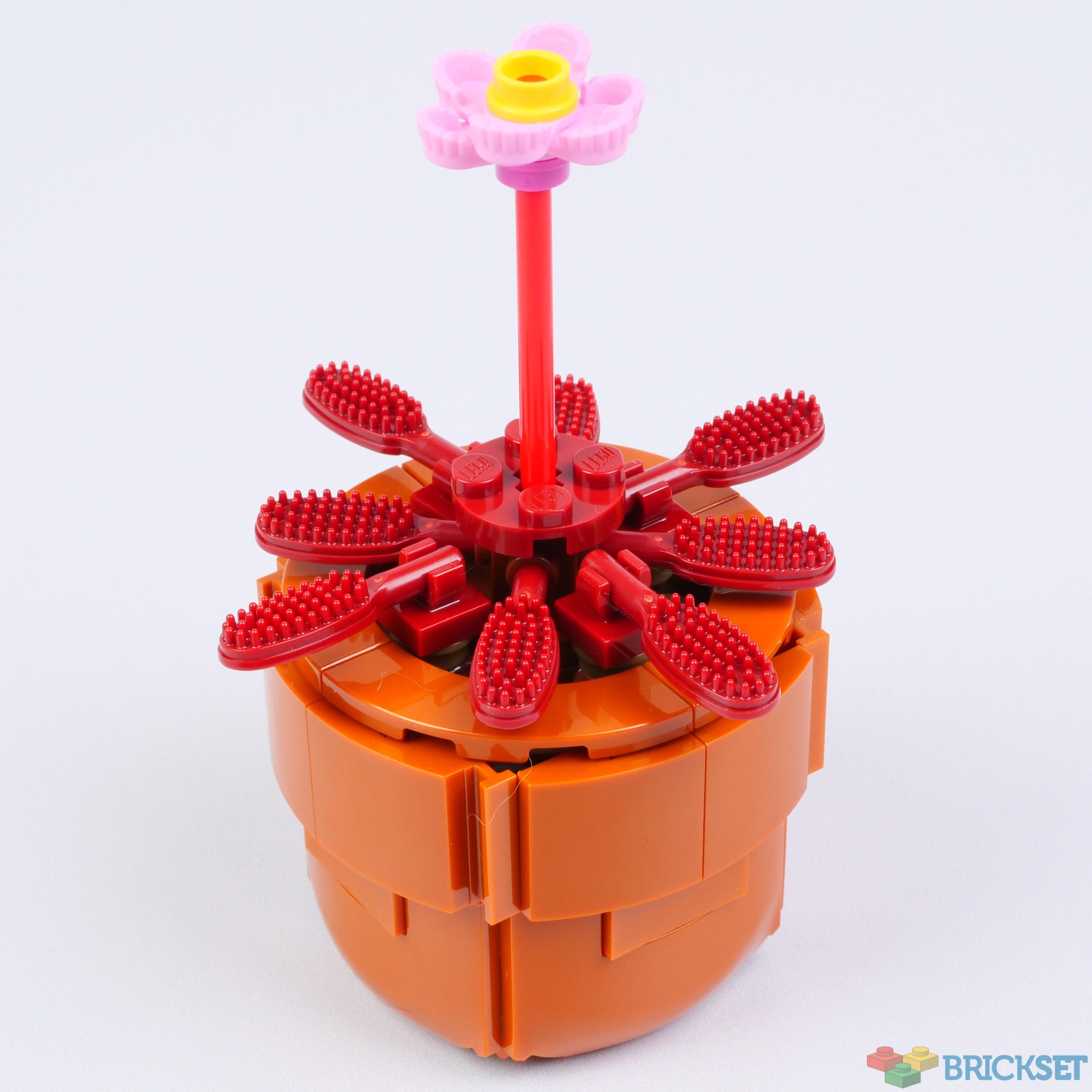 LEGO 10329 Tiny Plants review | Brickset