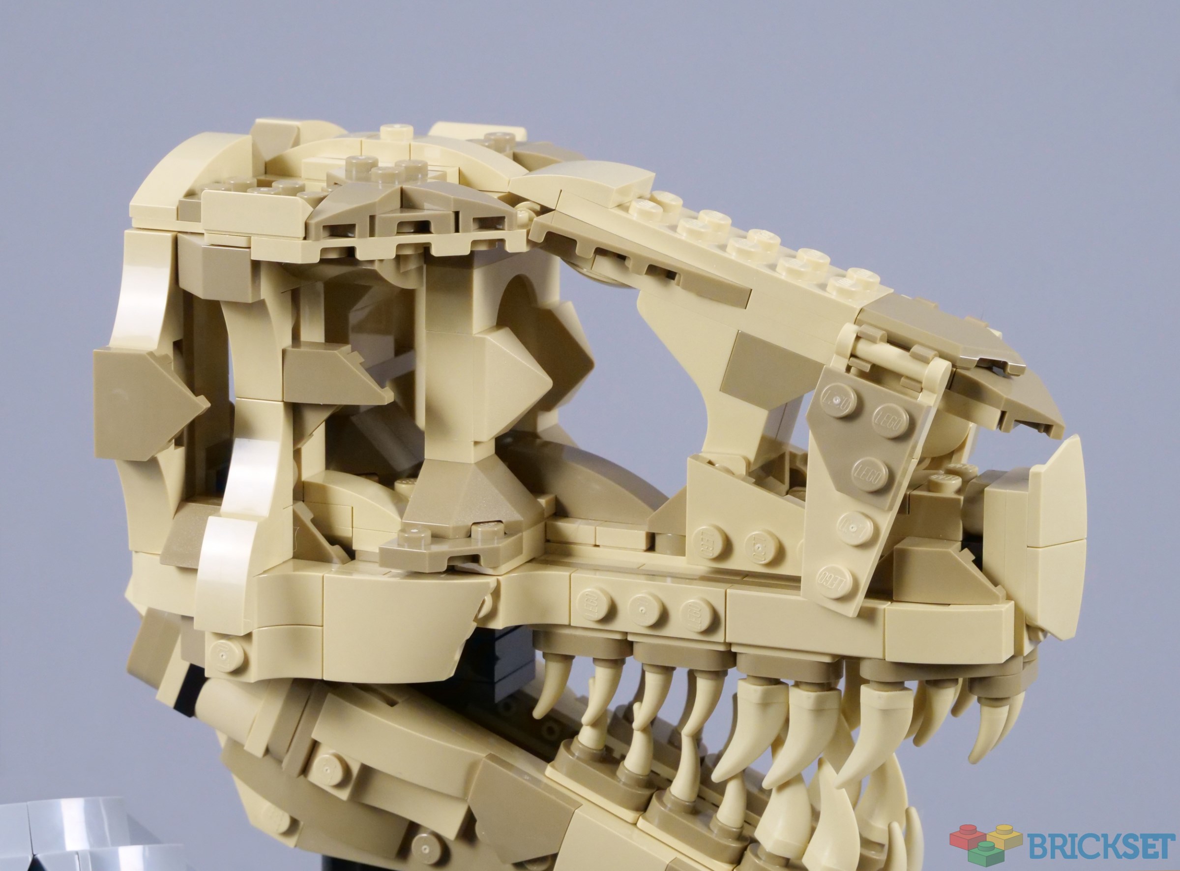 76964: Dinosaur Fossils: T. rex Skull Set Review - BricksFanz
