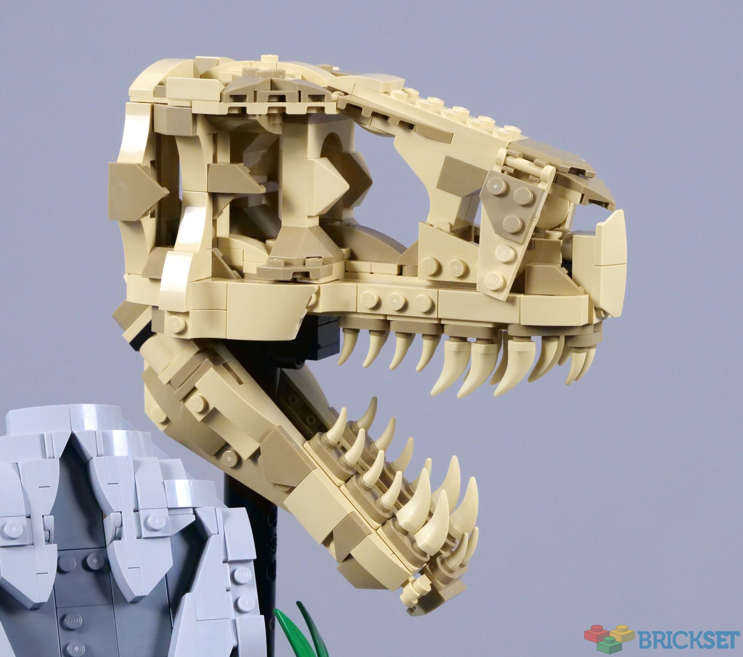 76964: Dinosaur Fossils: T. rex Skull Set Review - BricksFanz