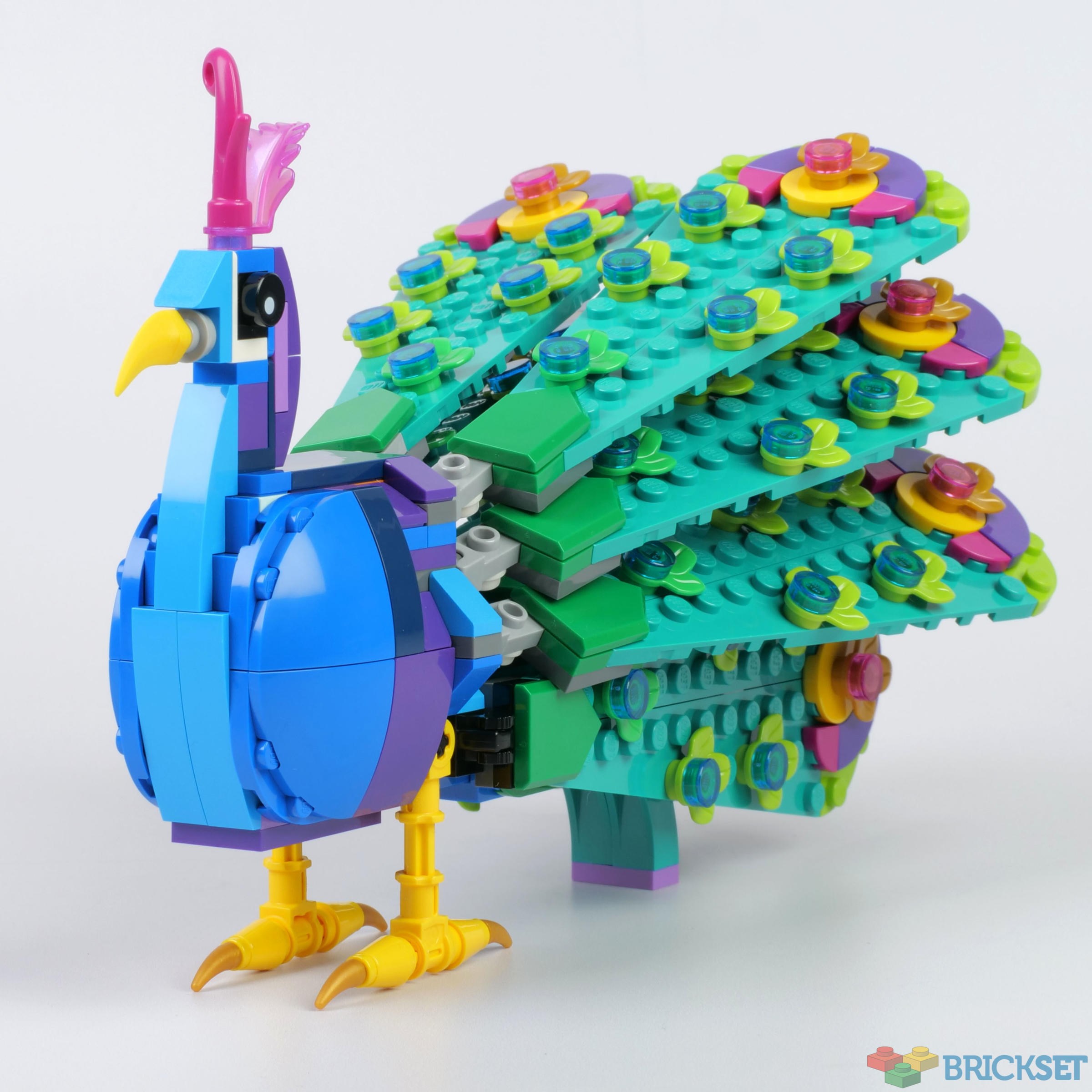 Something peculiar about the new Exotic Peacock set (31157) : r/lego