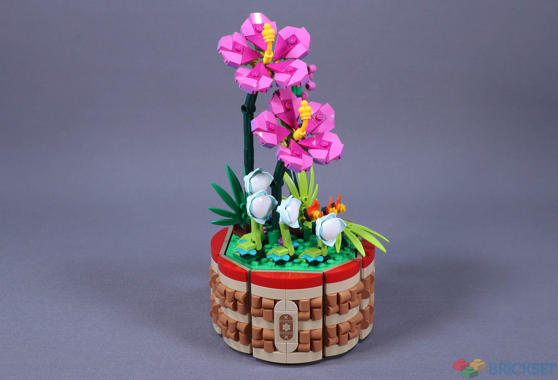 Lego 43252 Moana's Flowerpot Review 