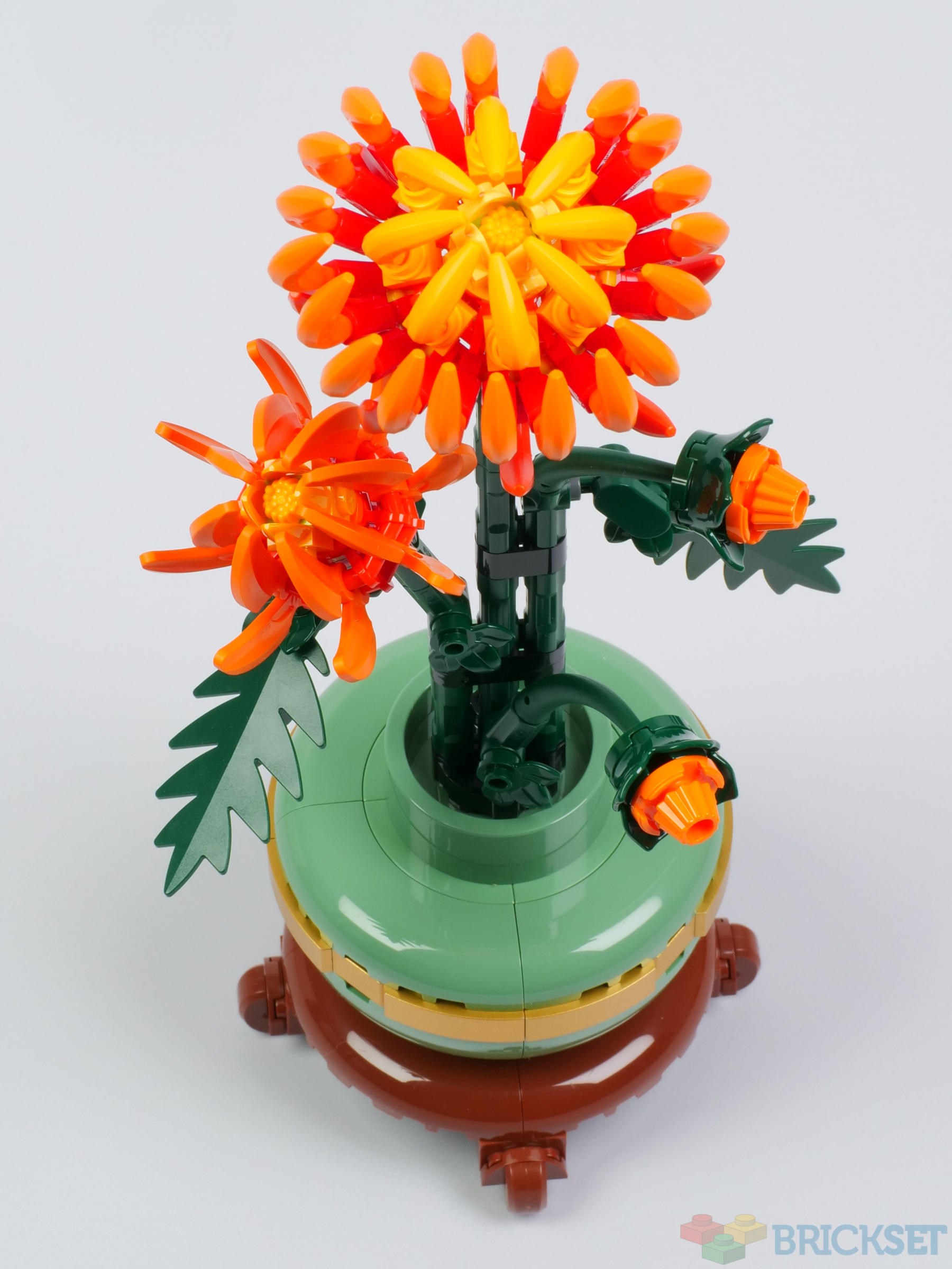 LEGO 10368 Chrysanthemum review | Brickset