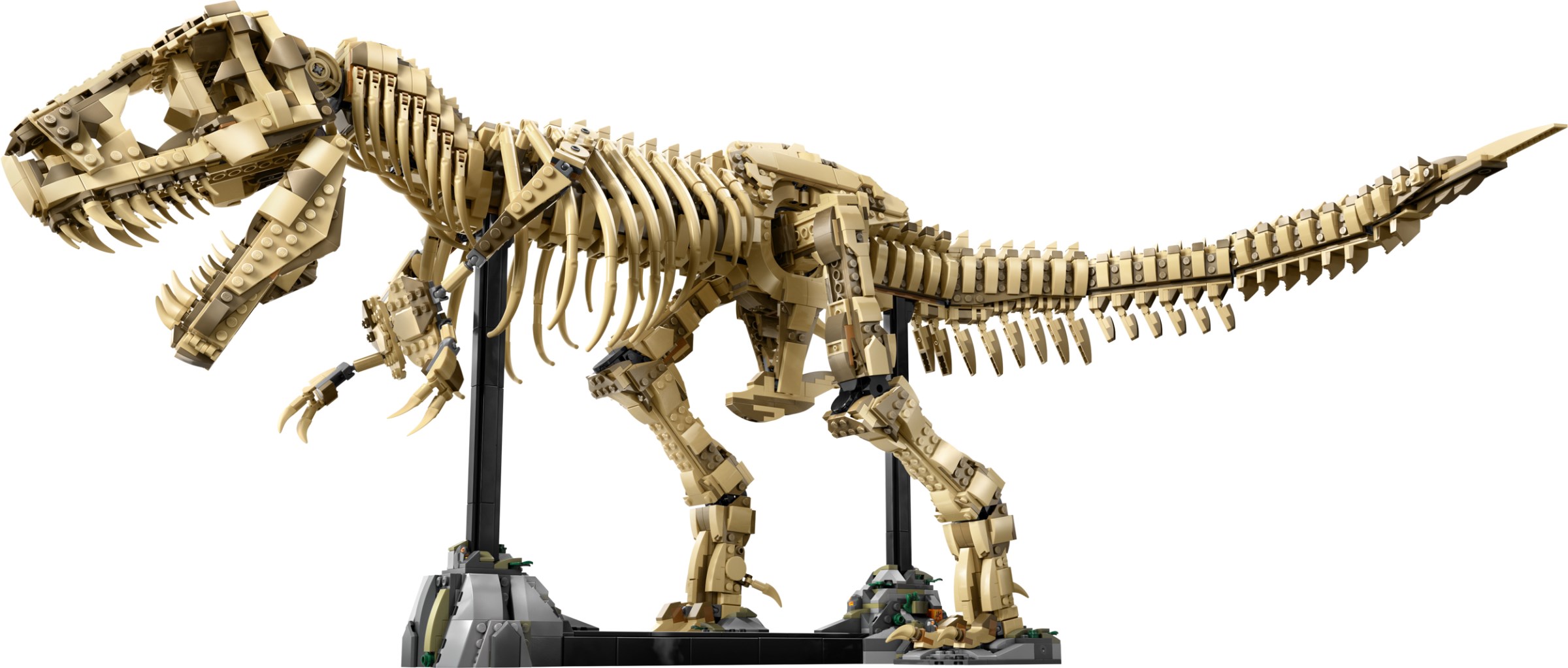 76968 Dinosaur Fossils: Tyrannosaurus rex announced! | Brickset