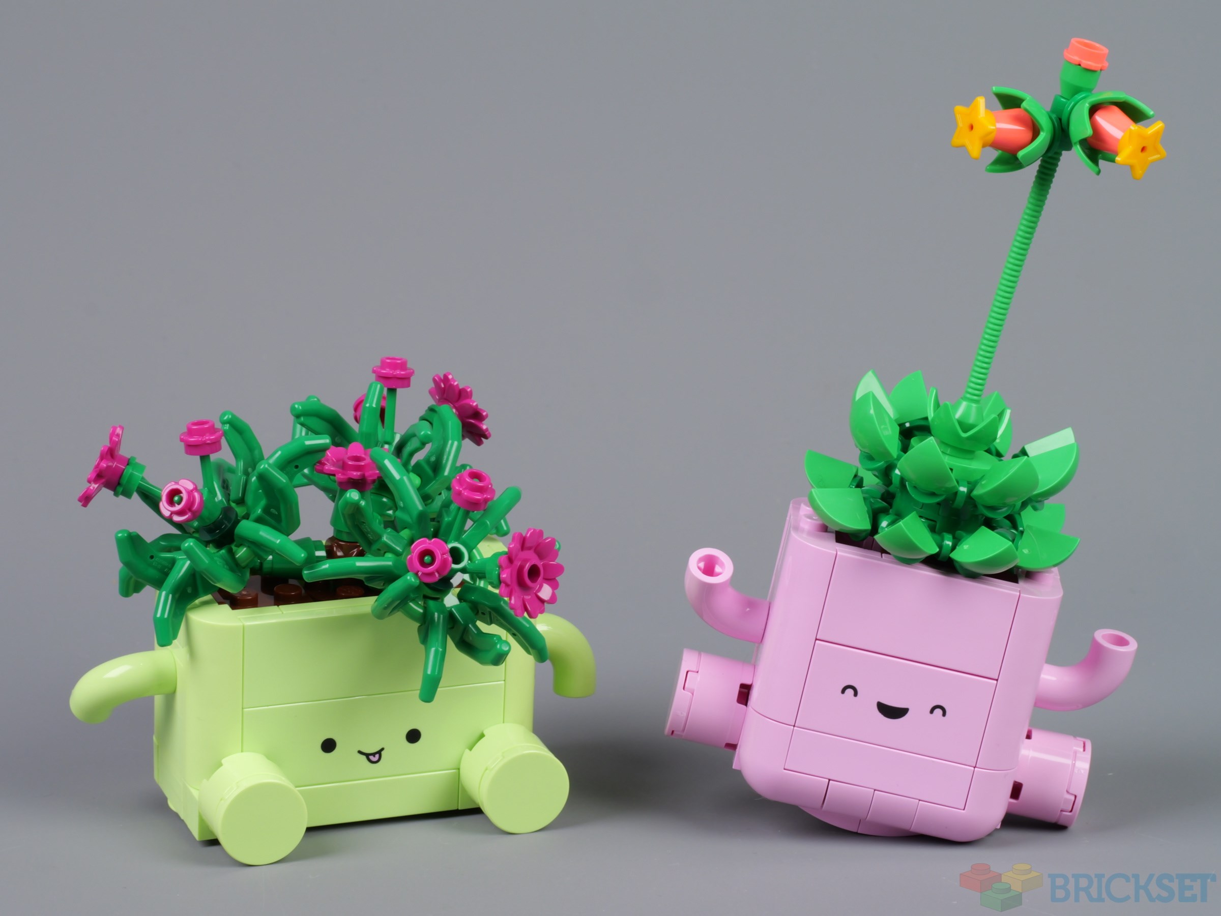 LEGO Botanicals 11506 Rocking Plants review | Brickset
