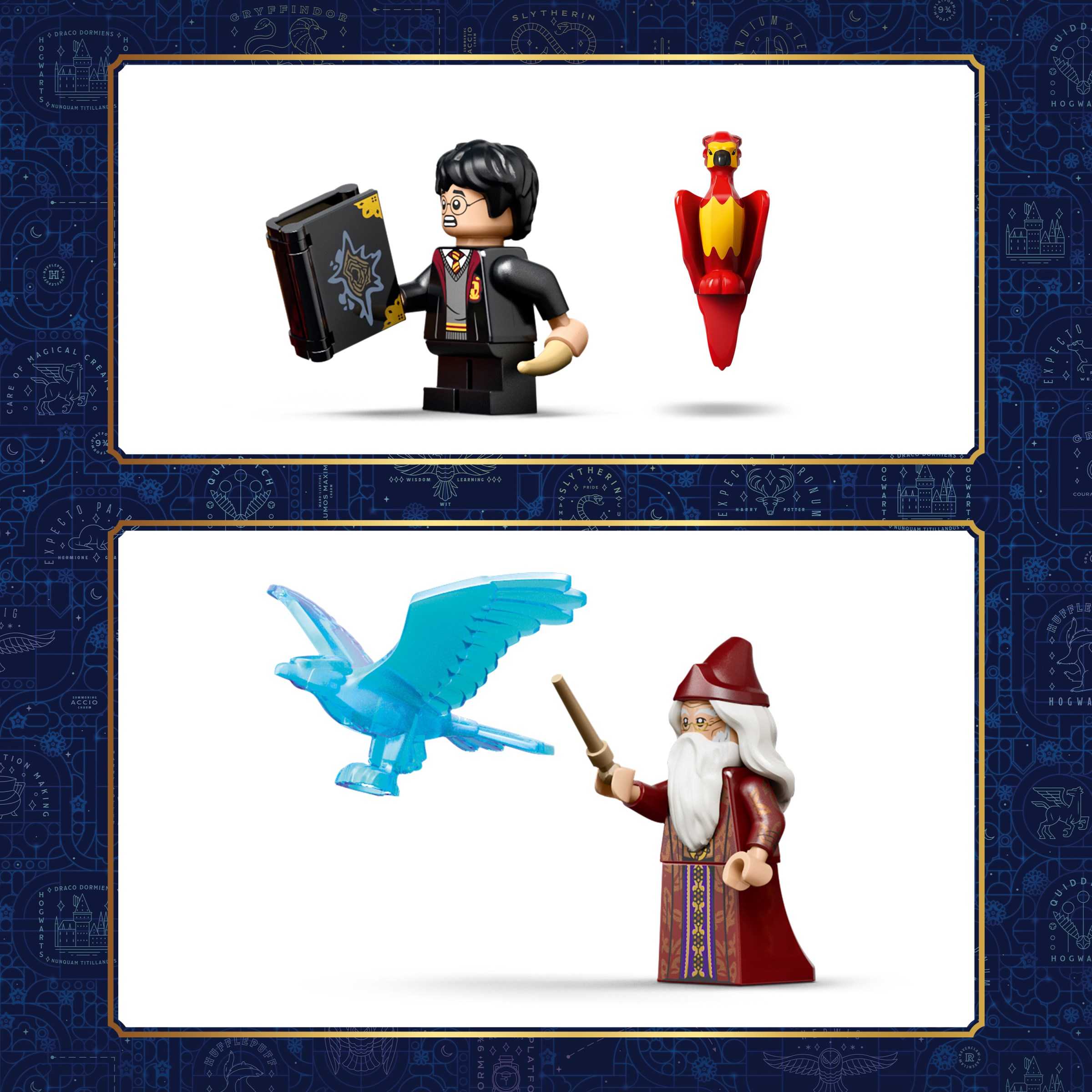 131537_Founders%2050.jpg