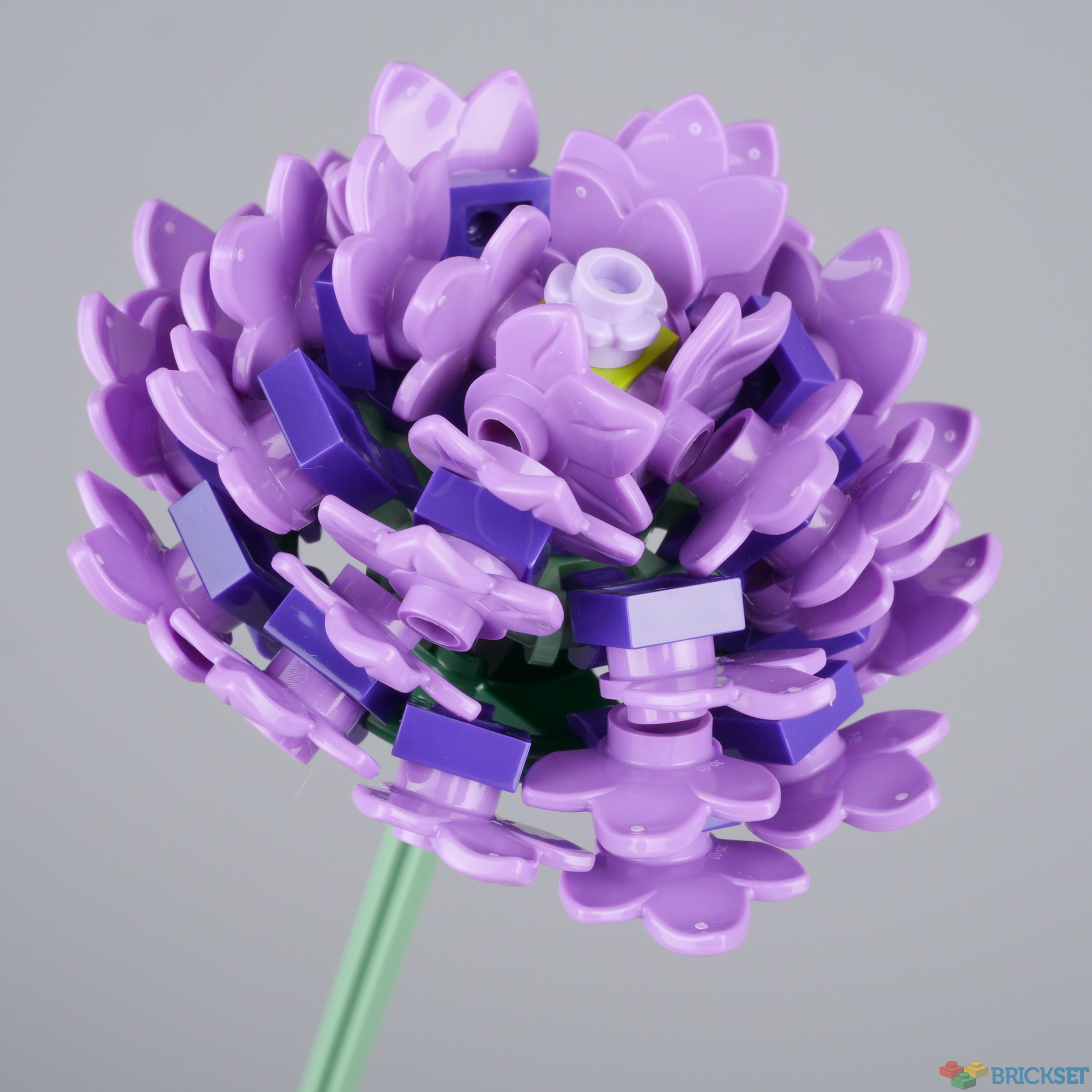 LEGO rose bouquet is BEAUTIFUL 🌹✨ #gifted by @LEGO #rlfm #reviews #10, Lego Flowers
