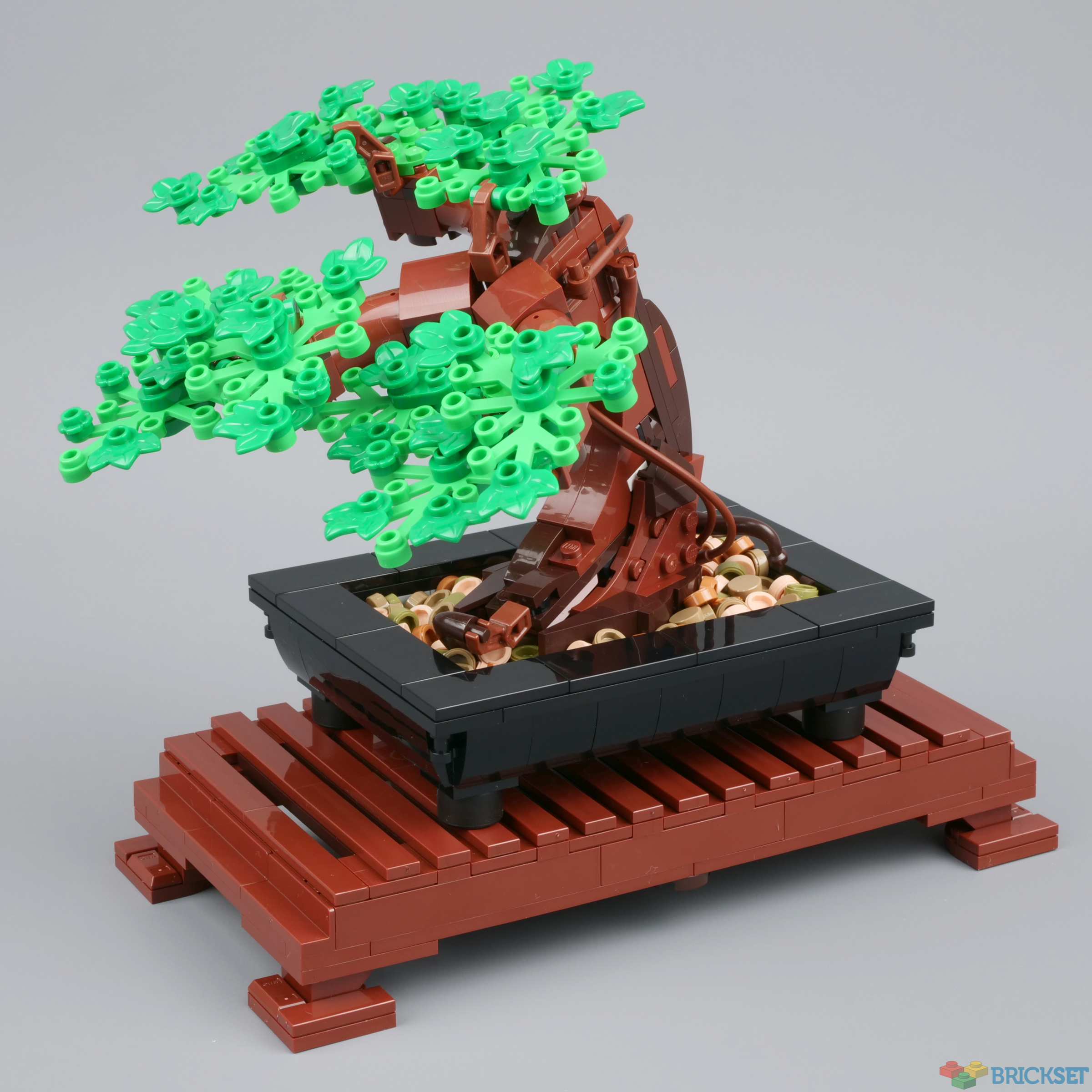 LEGO Bonsai Tree Stop Motion Speed Build - Set 10281 