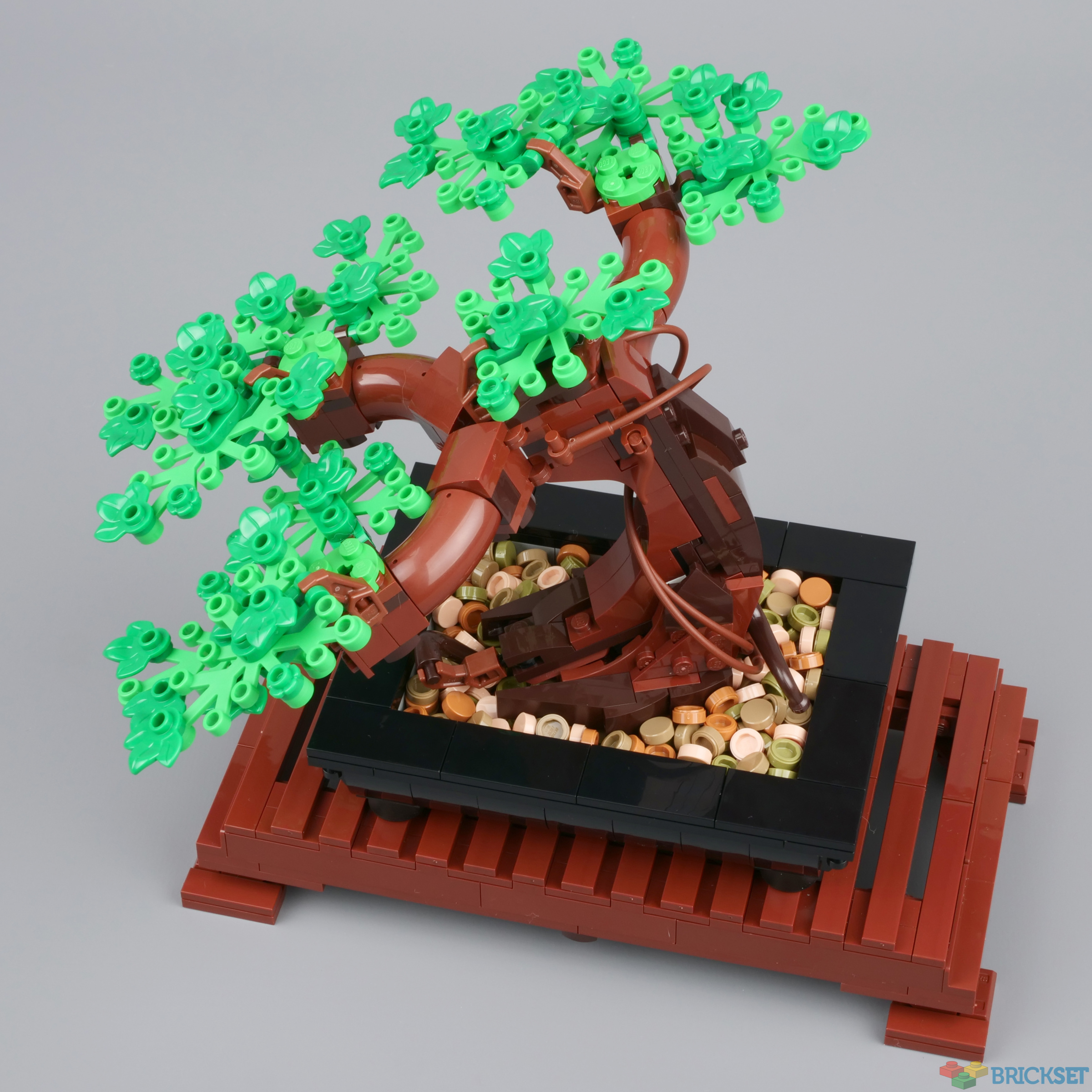 LEGO Bonsai Tree Stop Motion Speed Build - Set 10281 