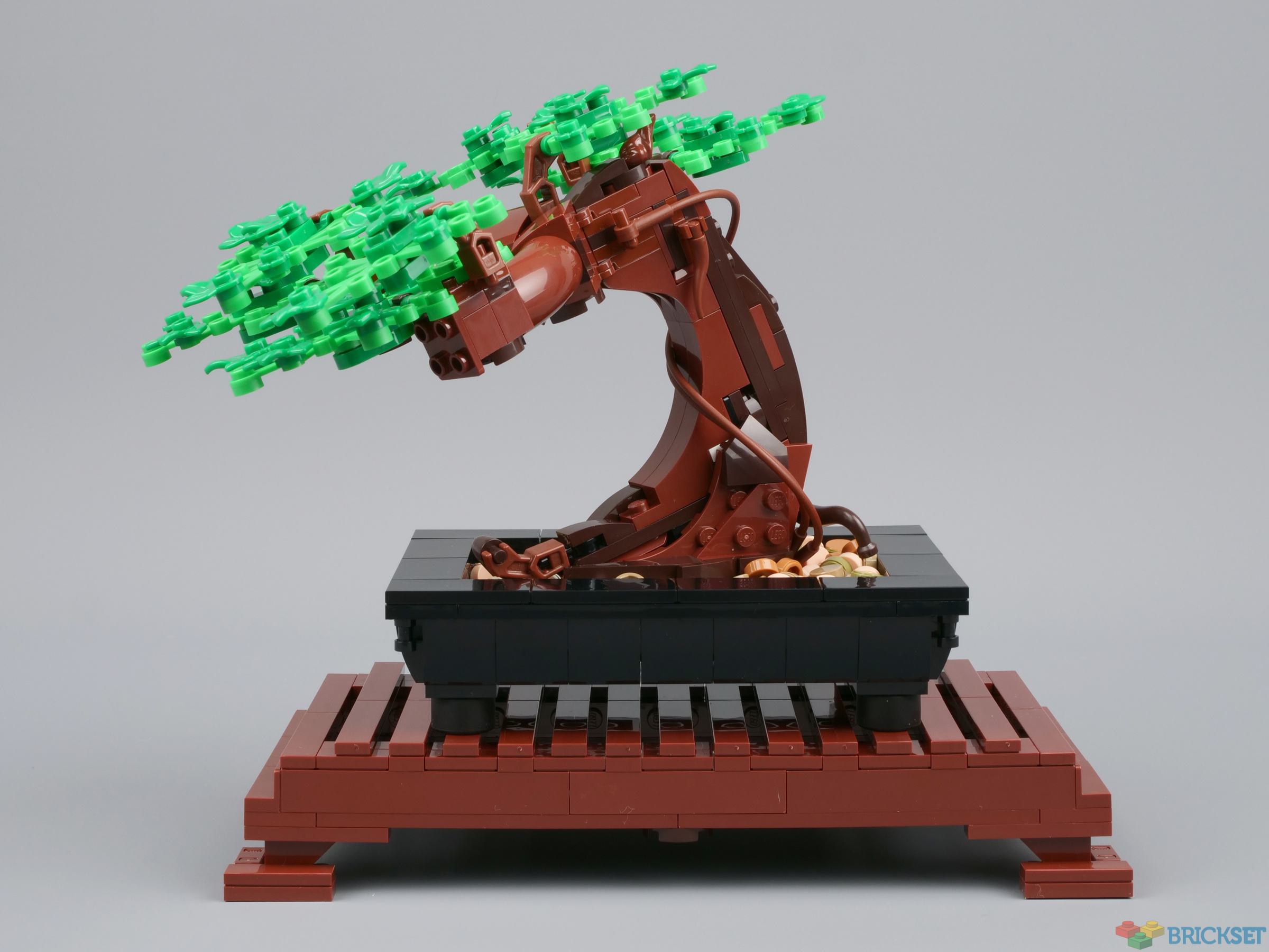 Bonsai Tree (LEGO 18+ Botanical Collection - 10281) - Review - Brickonaute