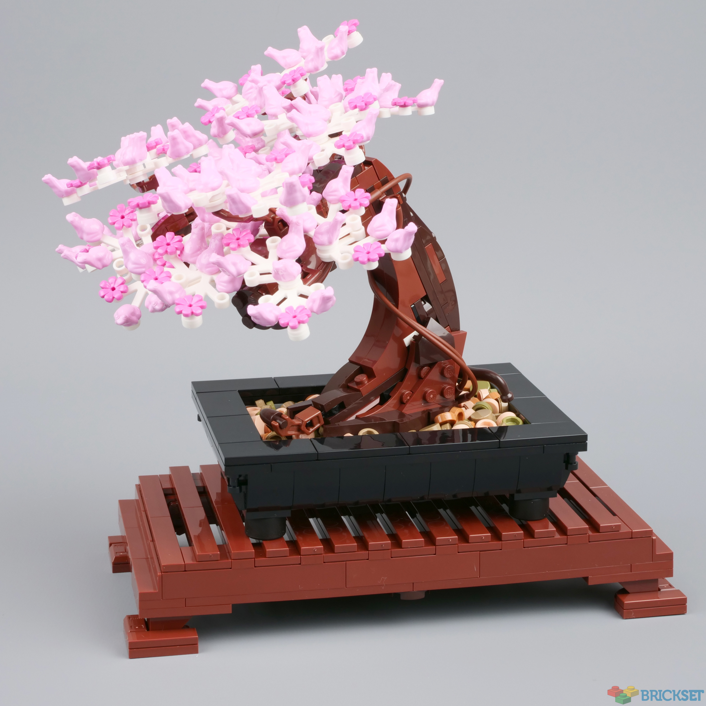 Review 10281 Bonsai Tree Brickset Lego Set Guide And Database