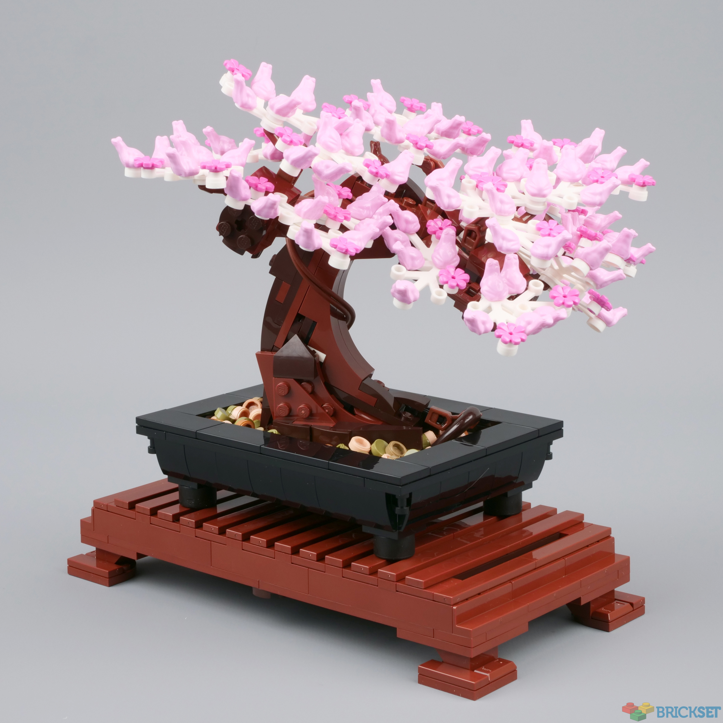 LEGO 10281 Bonsai Tree review | Brickset