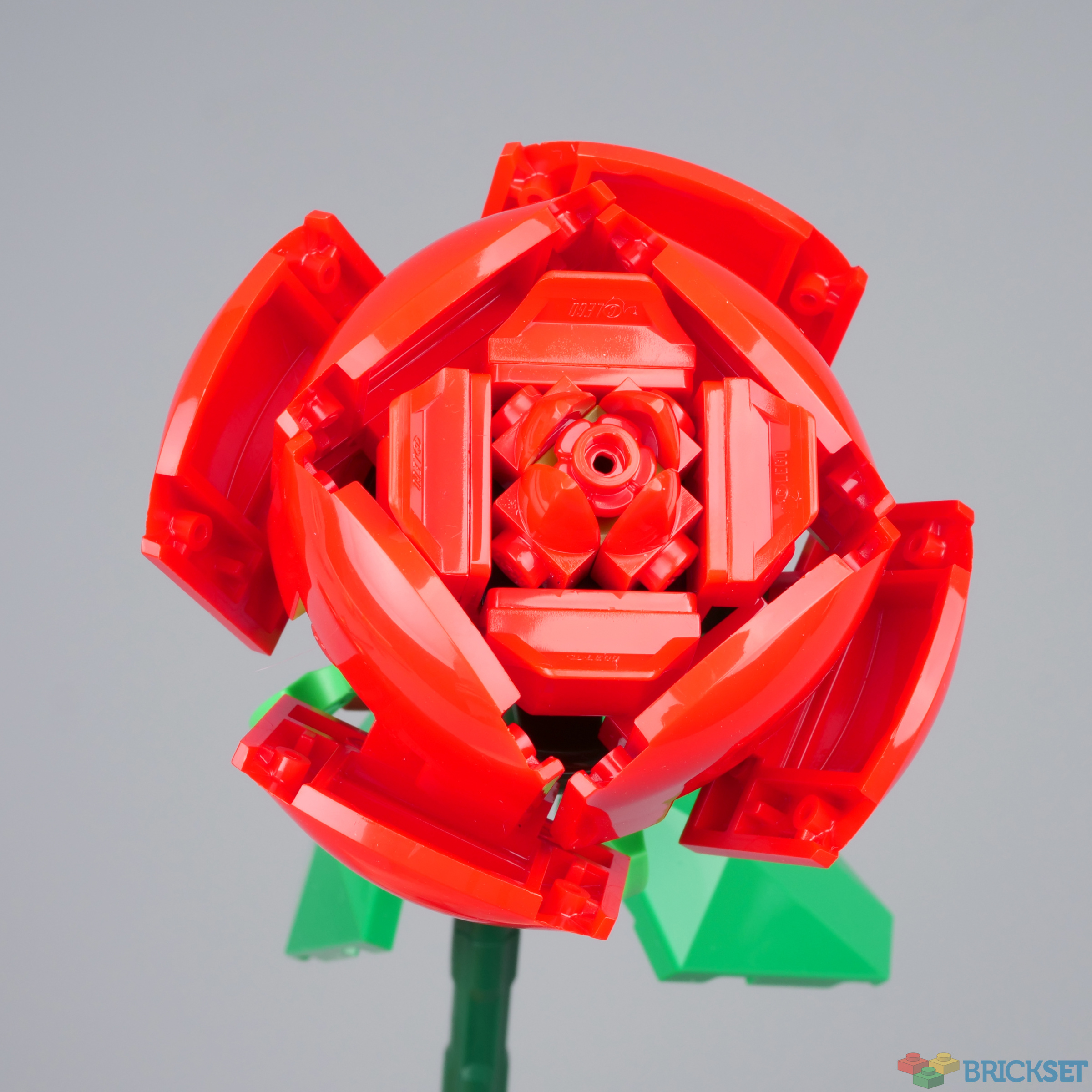 LEGO 40460 Roses Instructions, Creator