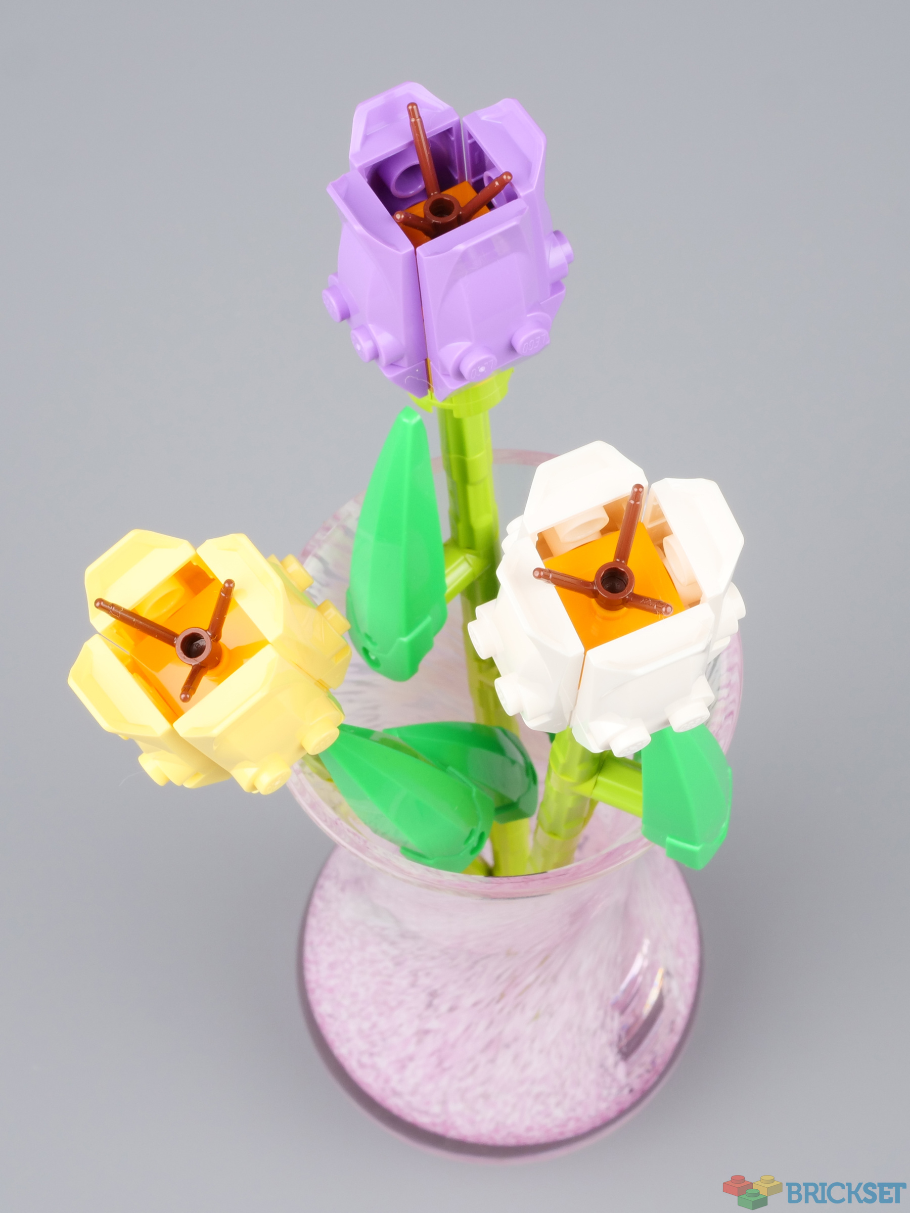 Roses & Tulips (Exclusivités LEGO - 40460 & 40461) - Mini-review -  Brickonaute