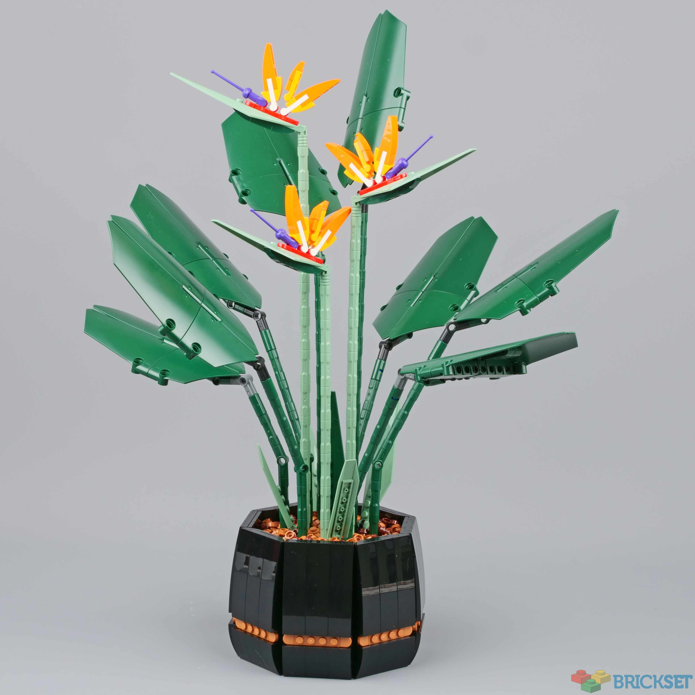 Lego Adult Flower  Paradise Plant – Plante Paradise
