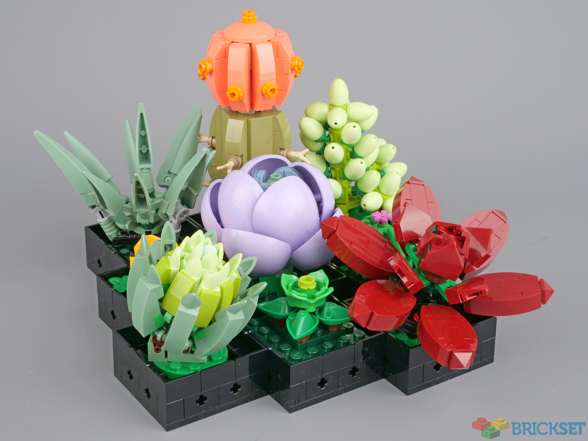 Review: 10309 Succulents | Brickset: LEGO set guide and database