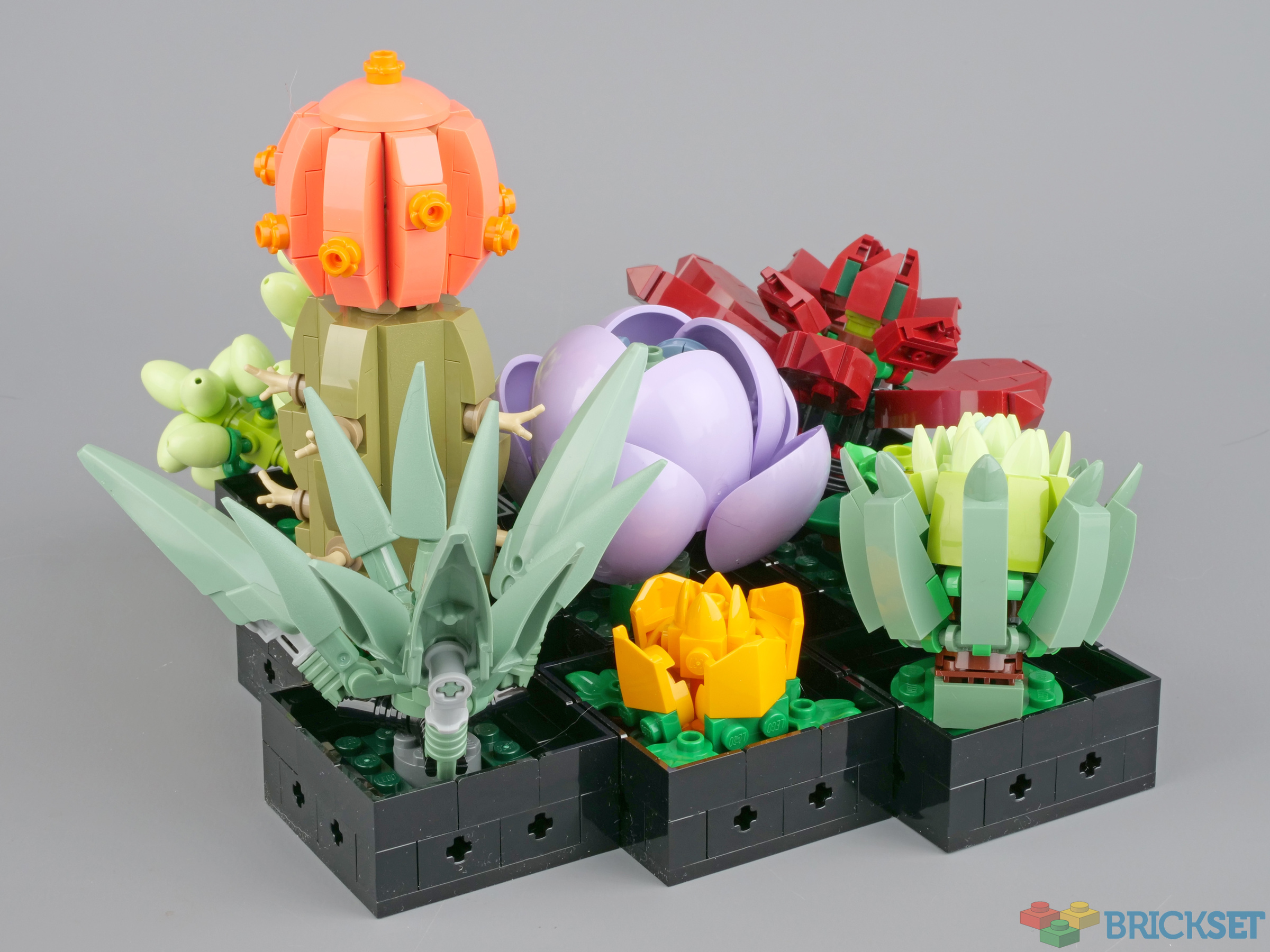 LEGO MOC Flowering Potted Succulent Plant by Famulimus