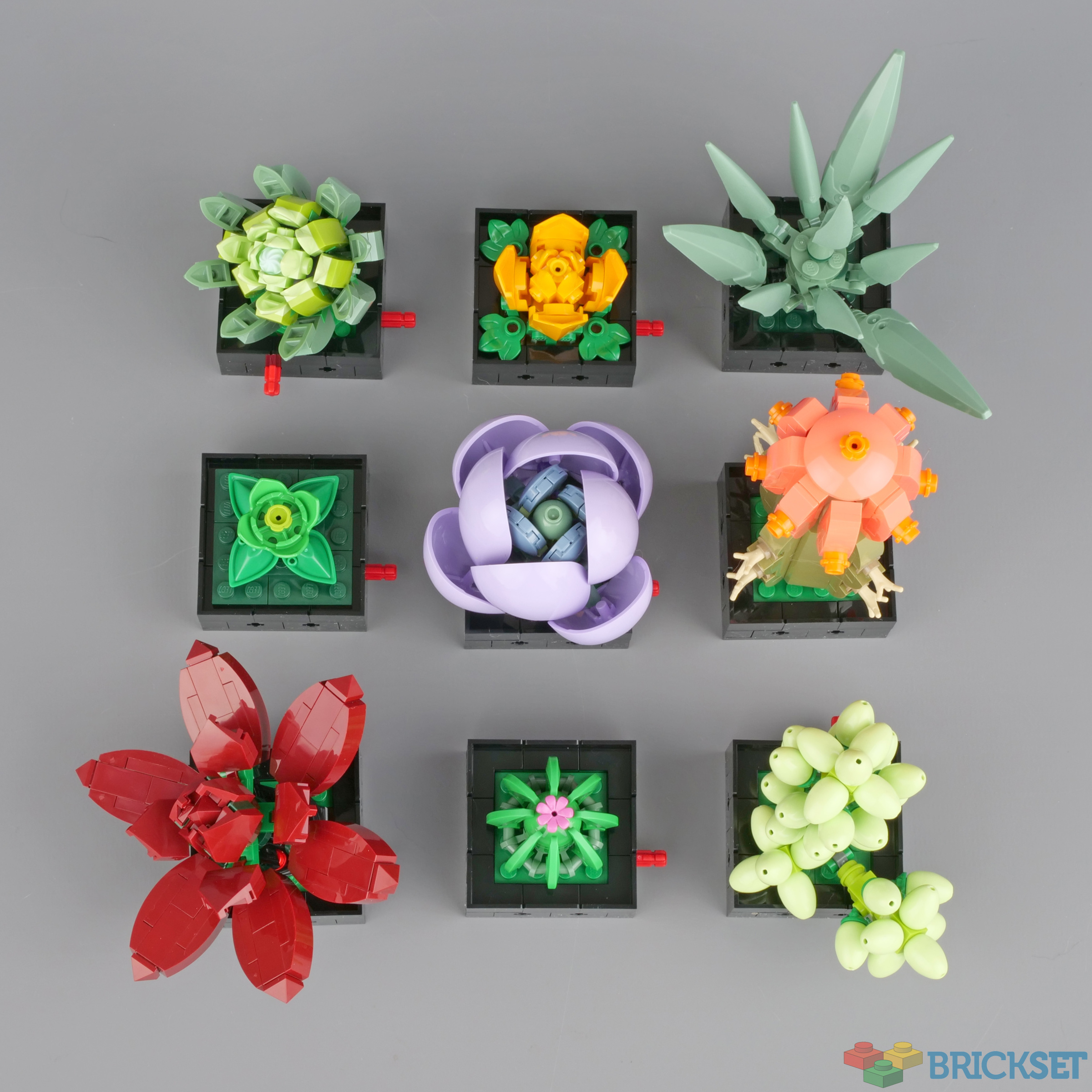 LEGO® Creator Expert Succulents Plant Decor Kit (771 Pieces)