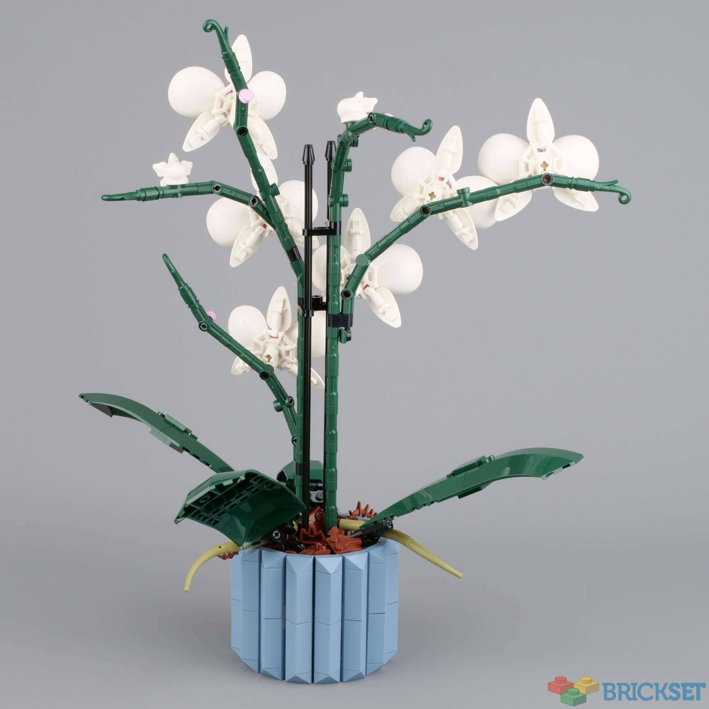 Wonderful Orchid Flower Pot pots NEW Sand Tan Brown Round 