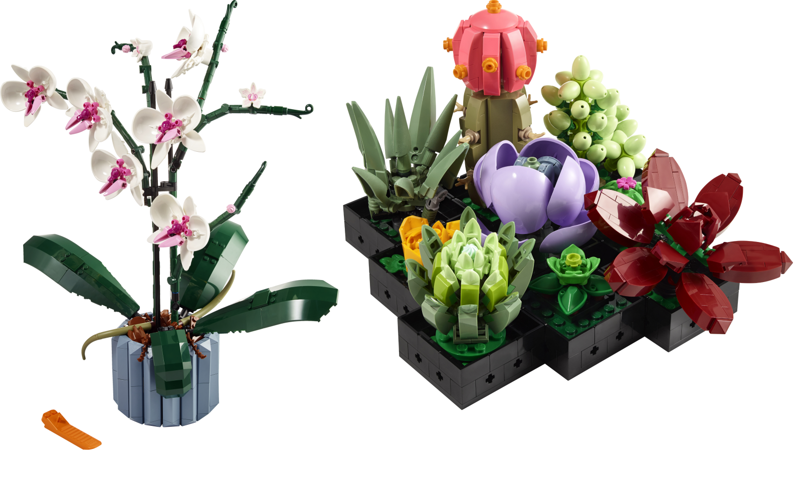 First LEGO Botanical Plant set for 2024 officially revealed