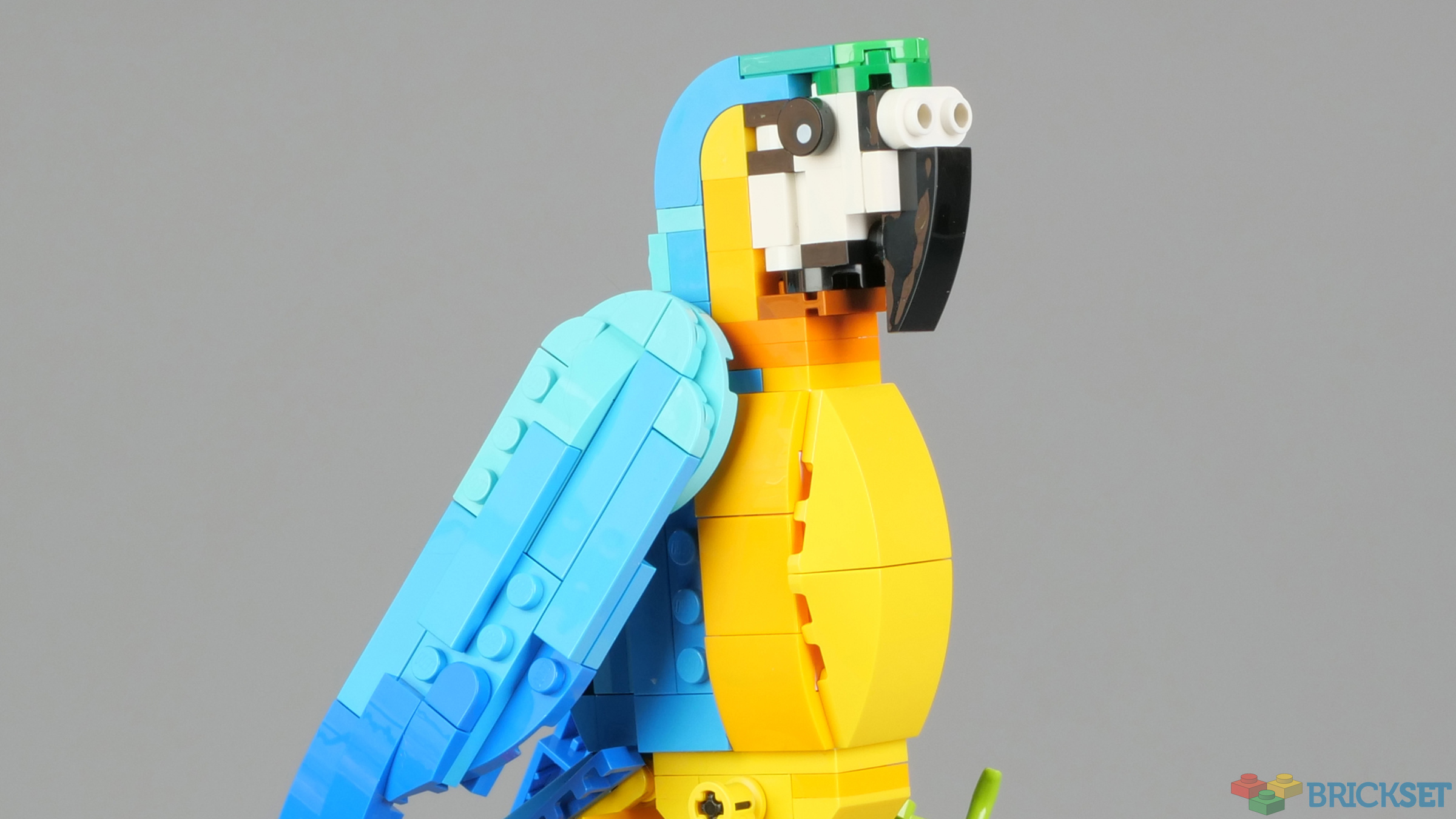 Quick look: 31136 Exotic Parrot | Brickset: LEGO set guide and database