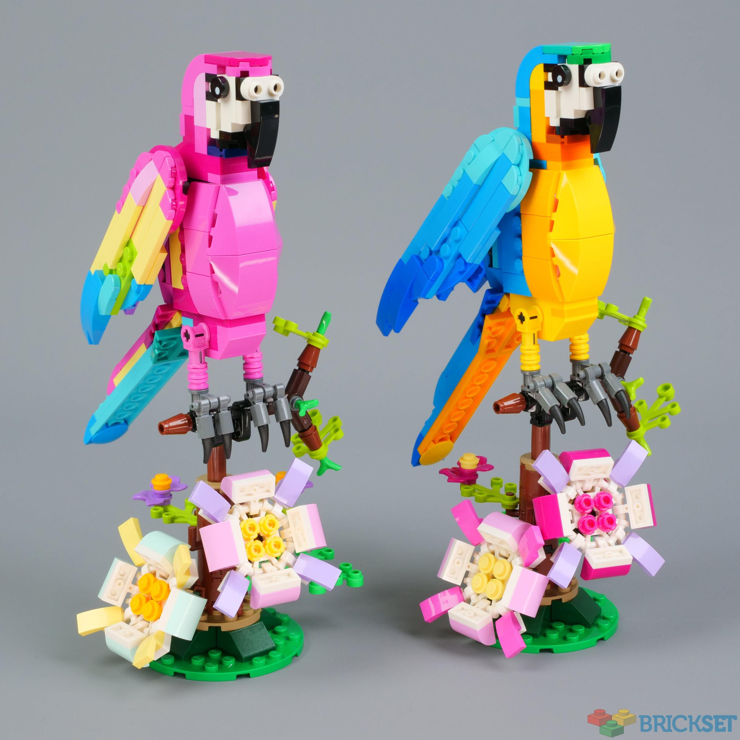 LEGO 31144 Exotic Pink Parrot review