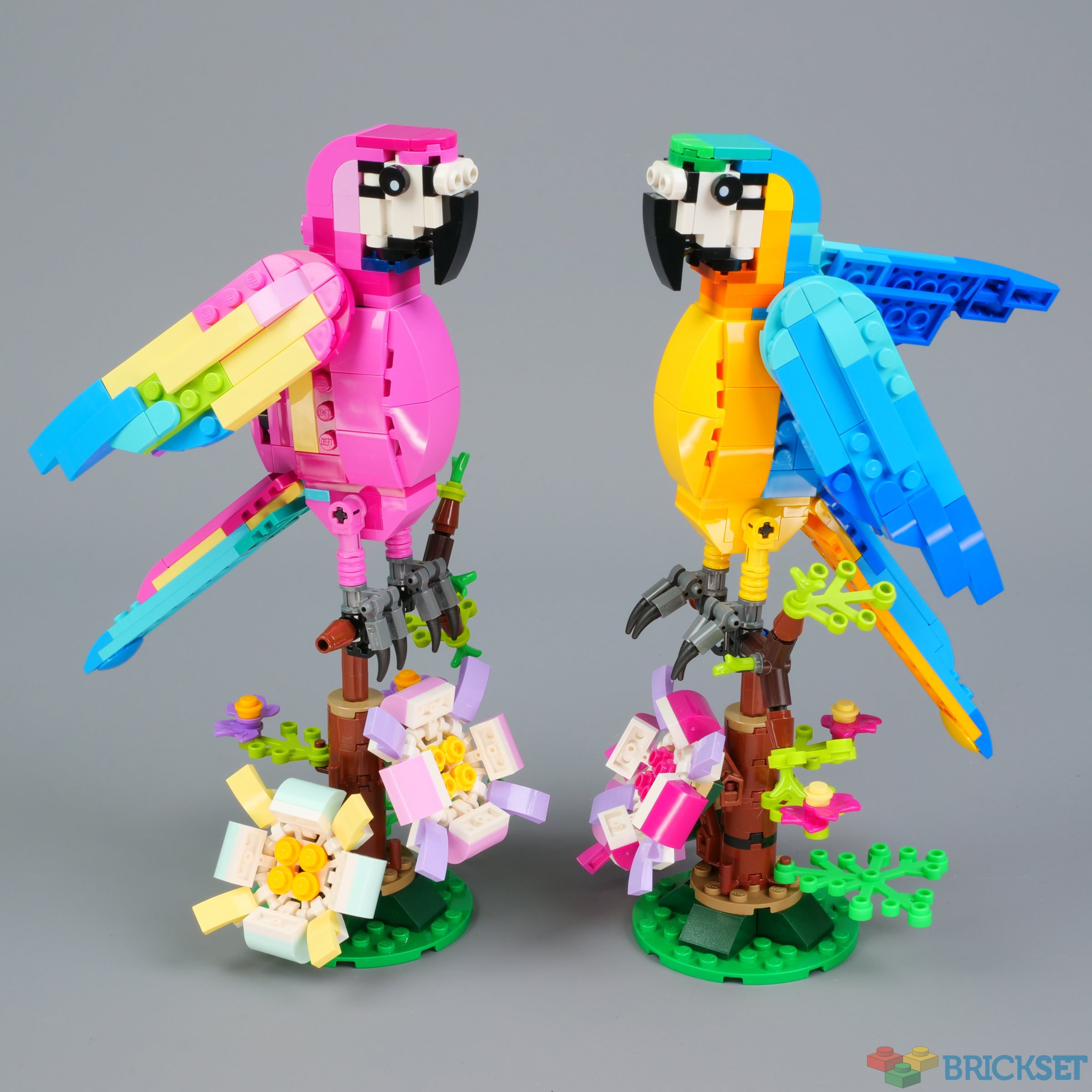 Exotic Pink Parrot 31144, Creator 3-in-1