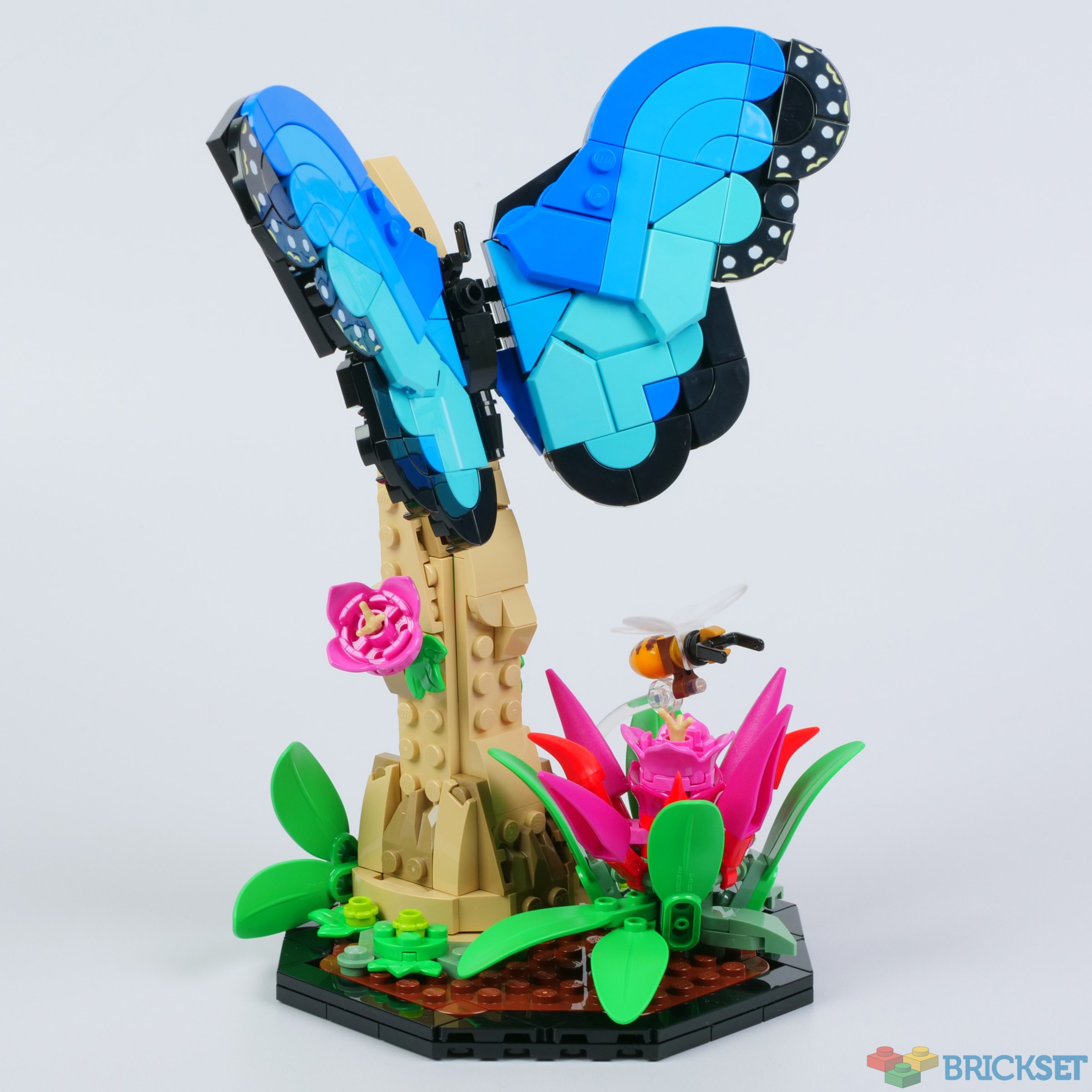  LEGO Ideas 21342 - The Insect Collection, Black : Toys