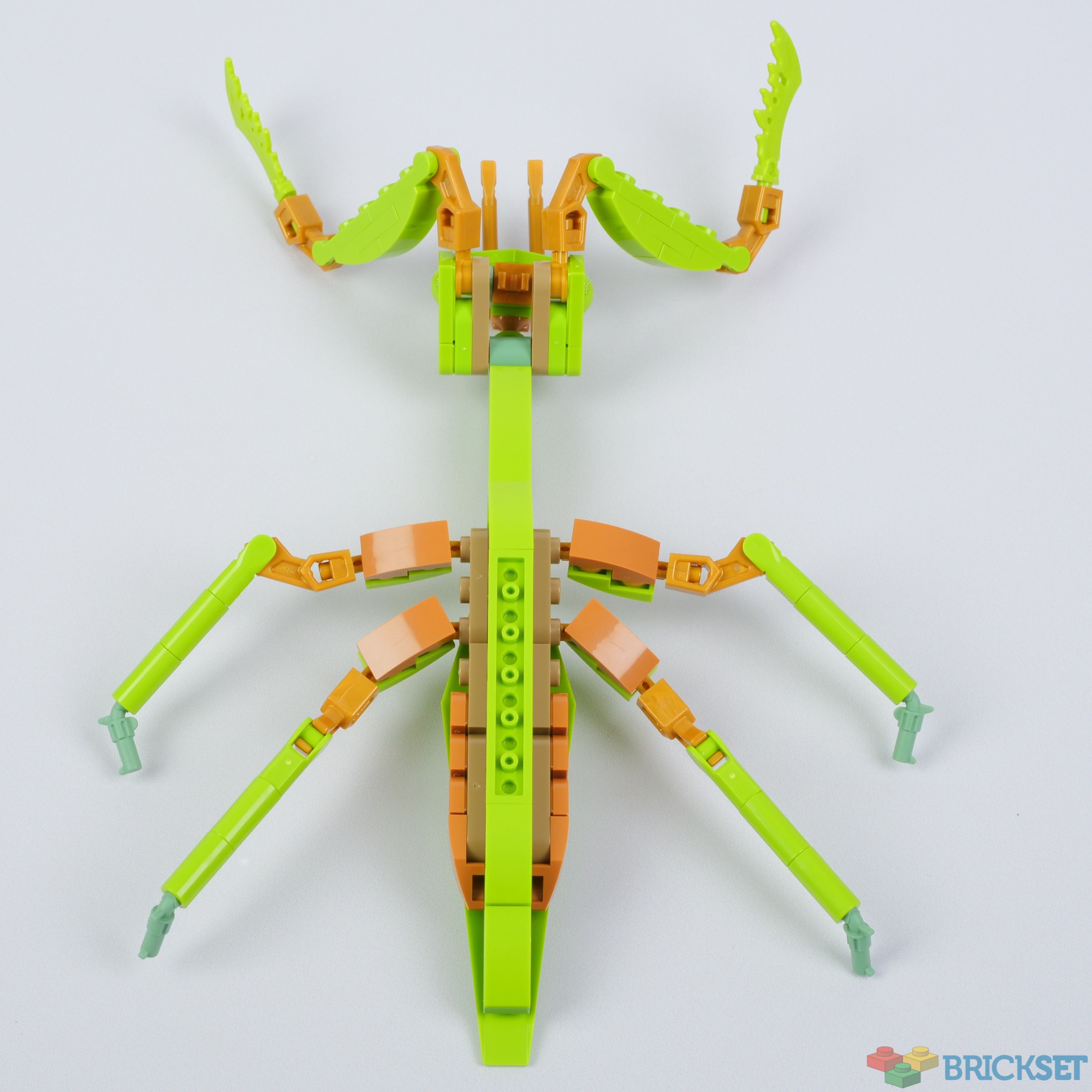 LEGO 21342 The Insect Collection, part two review | Brickset