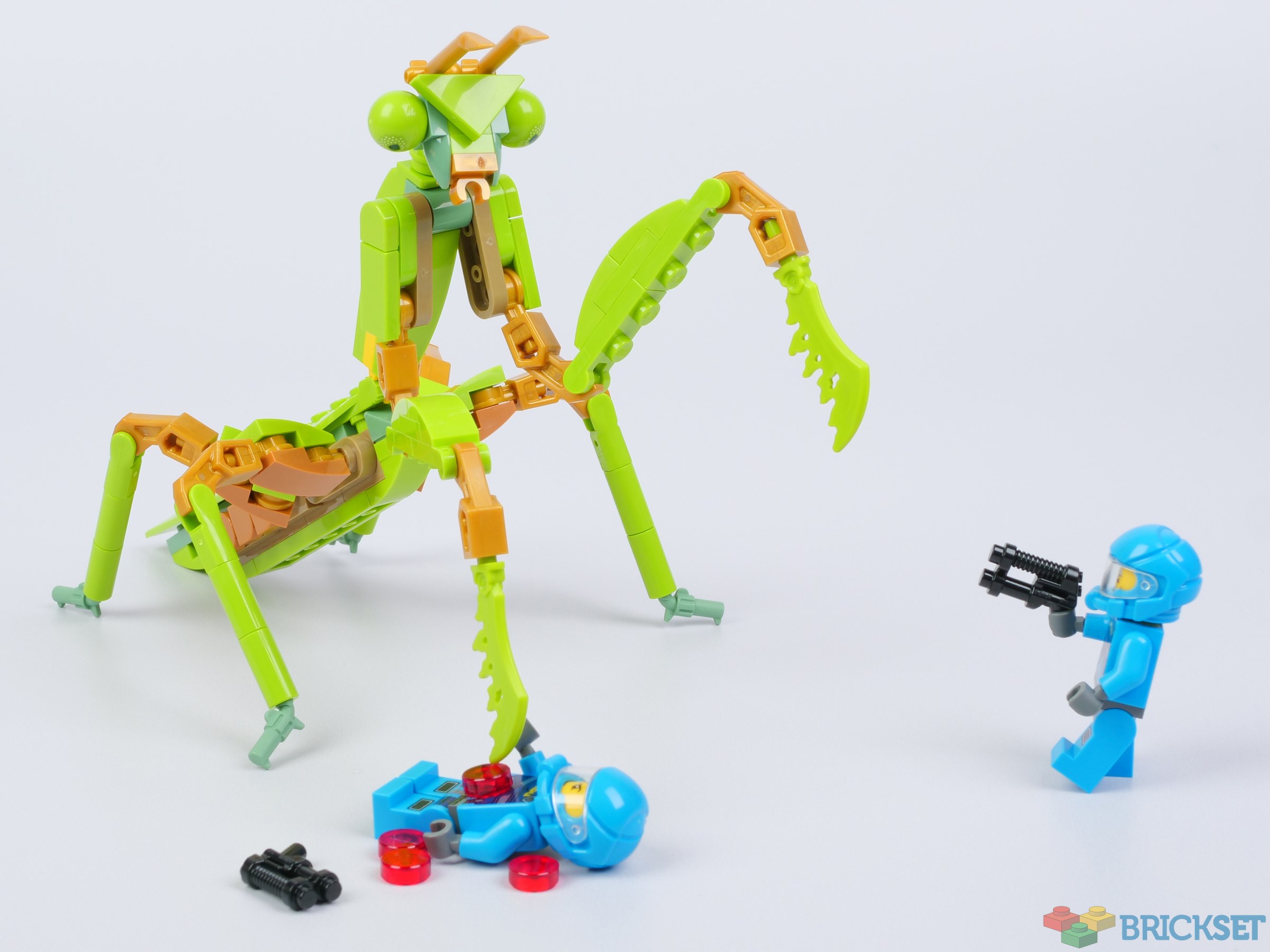 LEGO 21342 The Insect Collection, part two review | Brickset