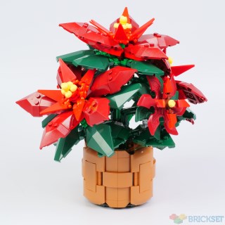 Review: 10370 Poinsettia