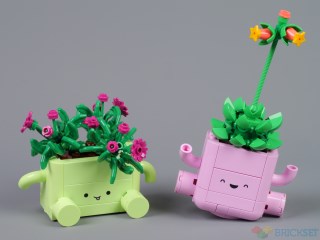 Review: 11506 Rocking Plants