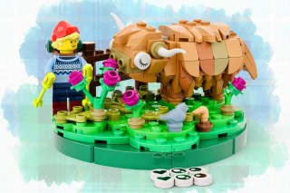Ideas competition winner announced