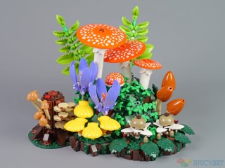 Review: 11505 Woodland Mushrooms