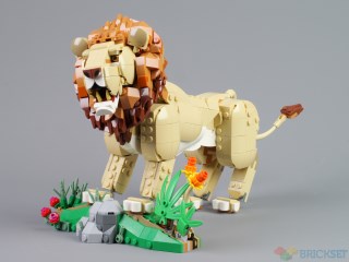 Review: 31386 Majestic Lion, part one