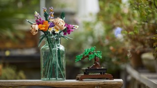 Botanical sets press release