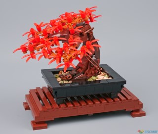 Competition: Build a Bonsai