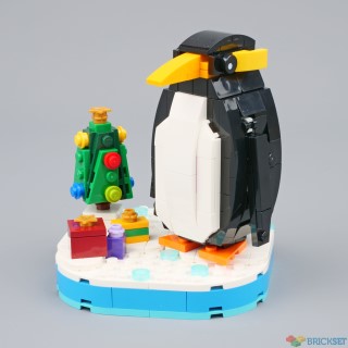Review: 40498 Penguin