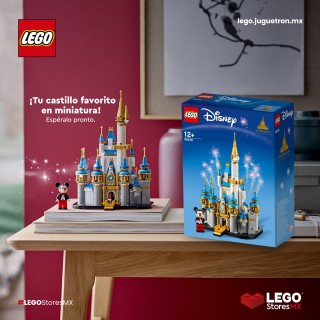 Hi-res image of mini Disney Castle
