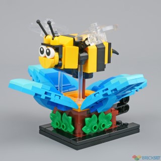 Build a MOC: 1 year on