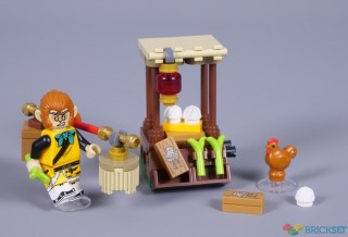 Review: 30656 Monkey King Marketplace