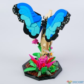 Review: 21342 The Insect Collection, part one