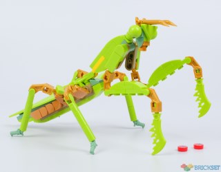 Review: 21342 The Insect Collection, part two