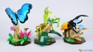 Review: 21342 The Insect Collection, part 3