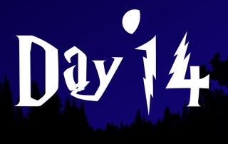 Harry Potter Advent Calendar  - Day 14