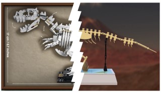 21320 Dinosaur Fossils - White vs. Tan