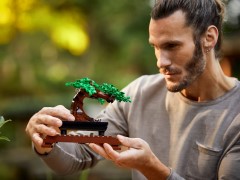 Bonsaiboompje LEGO-set afbeelding 3