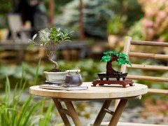 Bonsaiboompje LEGO-set afbeelding 12