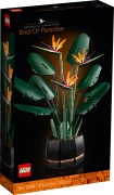 Bird of Paradise, zdjęcie 2